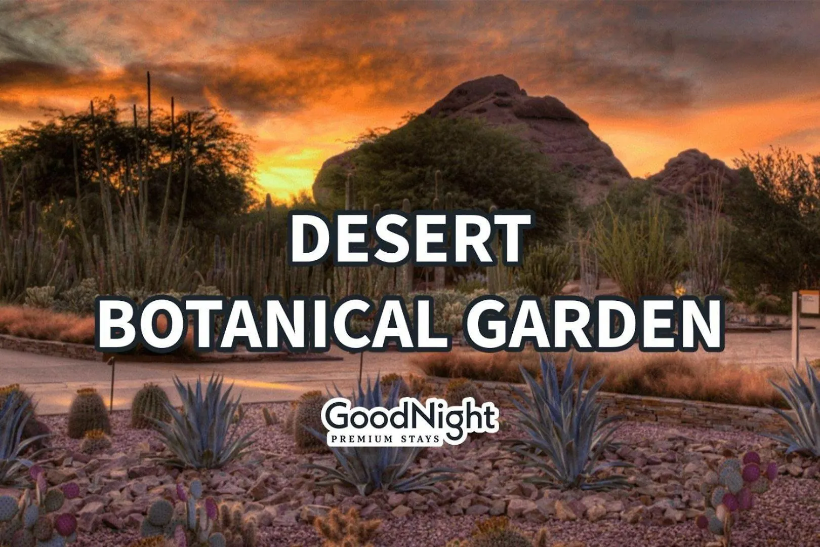 Holiday home Maya - Heart Of Old Town - Community Hot Tub Scottsdale